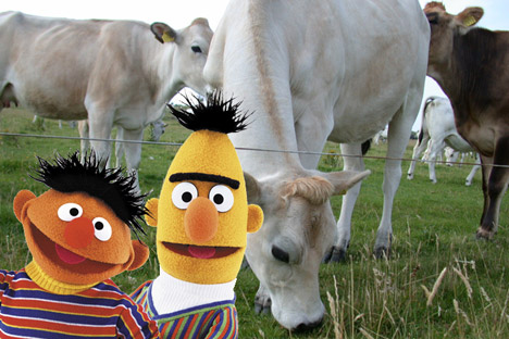 Elaborating the video slideshow beyond all reason: Bert and Ernie 