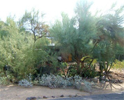 New weblog documents and supports the transition to new a MLS system for the Phoenix real estate market