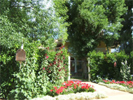 Phoenix real estate: Arizona real estate licensing fuels debate