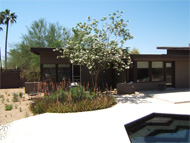 Phoenix real estate: How to prioritize your home-buying negotiation in the current Phoenix real estate market