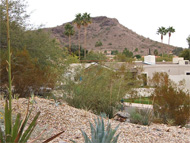 Is Phoenix a buyer's market? You bet, but even more than that, it's a Realtor's market