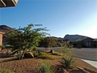 Phoenix real estate: A real estate sign of the times: Our first custom yard sign printed in both English and Spanish