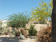 Phoenix real estate: Your rental home in Phoenix will generate positive cash flow -- but will it appreciate significantly in the coming years?