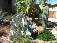 Phoenix real estate: August was a great month for real estate sales, but when 40% of buyers are pushed off the playing field, home prices could plummet