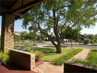 Phoenix real estate: Repeat after me: Mr. Realtor, what do you charge?
