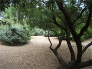Phoenix real estate: You'll like the Phoenix real estate market better in April...