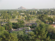 Phoenix real estate: This endless election season may give the real estate market time to self-correct before new legislation can make things worse