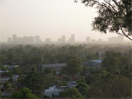 Phoenix real estate: How low can they go? Negotiating a real estate bargain in the Phoenix real estate market