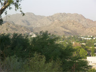 Phoenix real estate: Phoenix-area rentals can be a good investment if you can weather negative cash flow