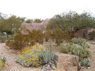 Your rental home in Phoenix will generate positive cash flow -- but will it appreciate significantly in the coming years?