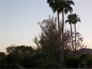 Phoenix real estate: There's more to the mortgage relief bill than just mortgage relief