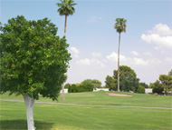 Phoenix real estate: New Arizona real-estate licensing law fails consumers