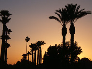 Phoenix real estate: Celebrating the father of our freedoms: The freedom to own real estate