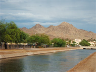 Phoenix real estate: Do you want to save money in the Phoenix real estate market? Stop shopping for bargains and start shopping for value instead.