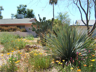 Phoenix real estate: On-line real estate databases can fall short of buyers' and sellers' needs
